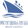 辉洋国际